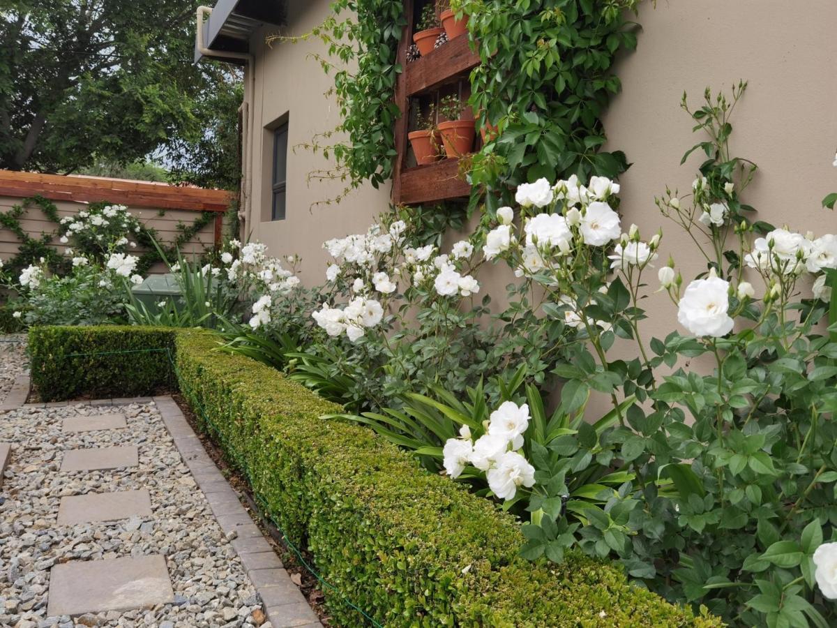 Bella Rosa Bed & Breakfast Потчефструм Екстериор снимка