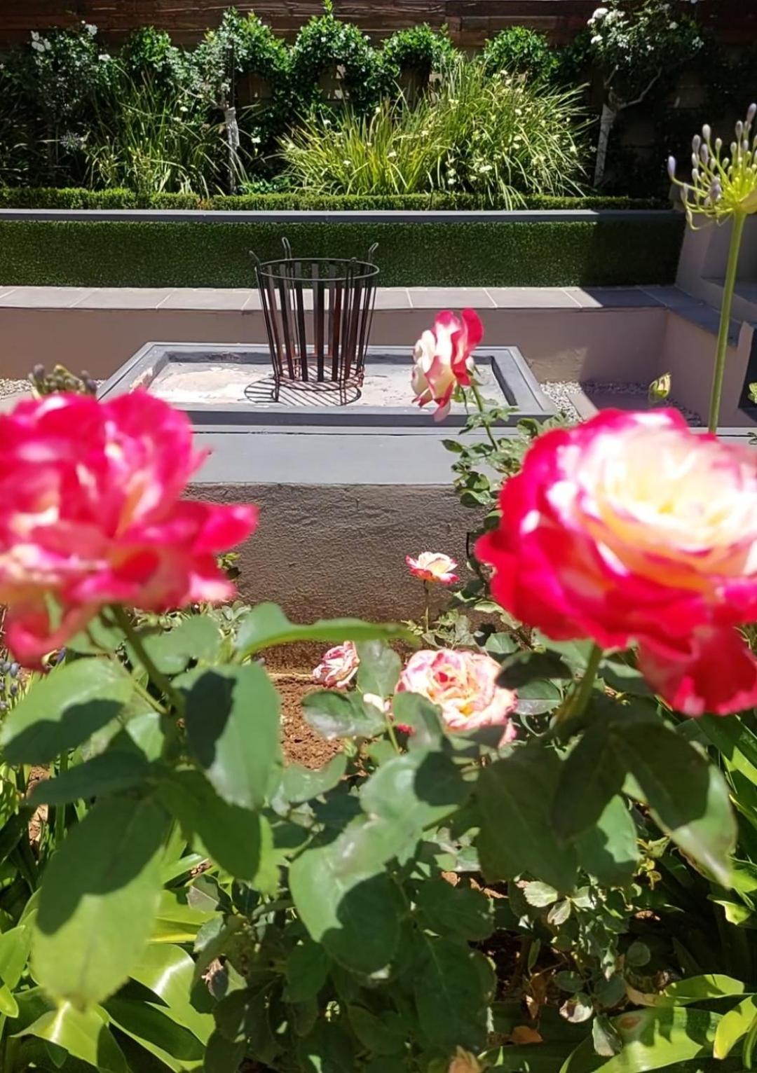 Bella Rosa Bed & Breakfast Потчефструм Екстериор снимка